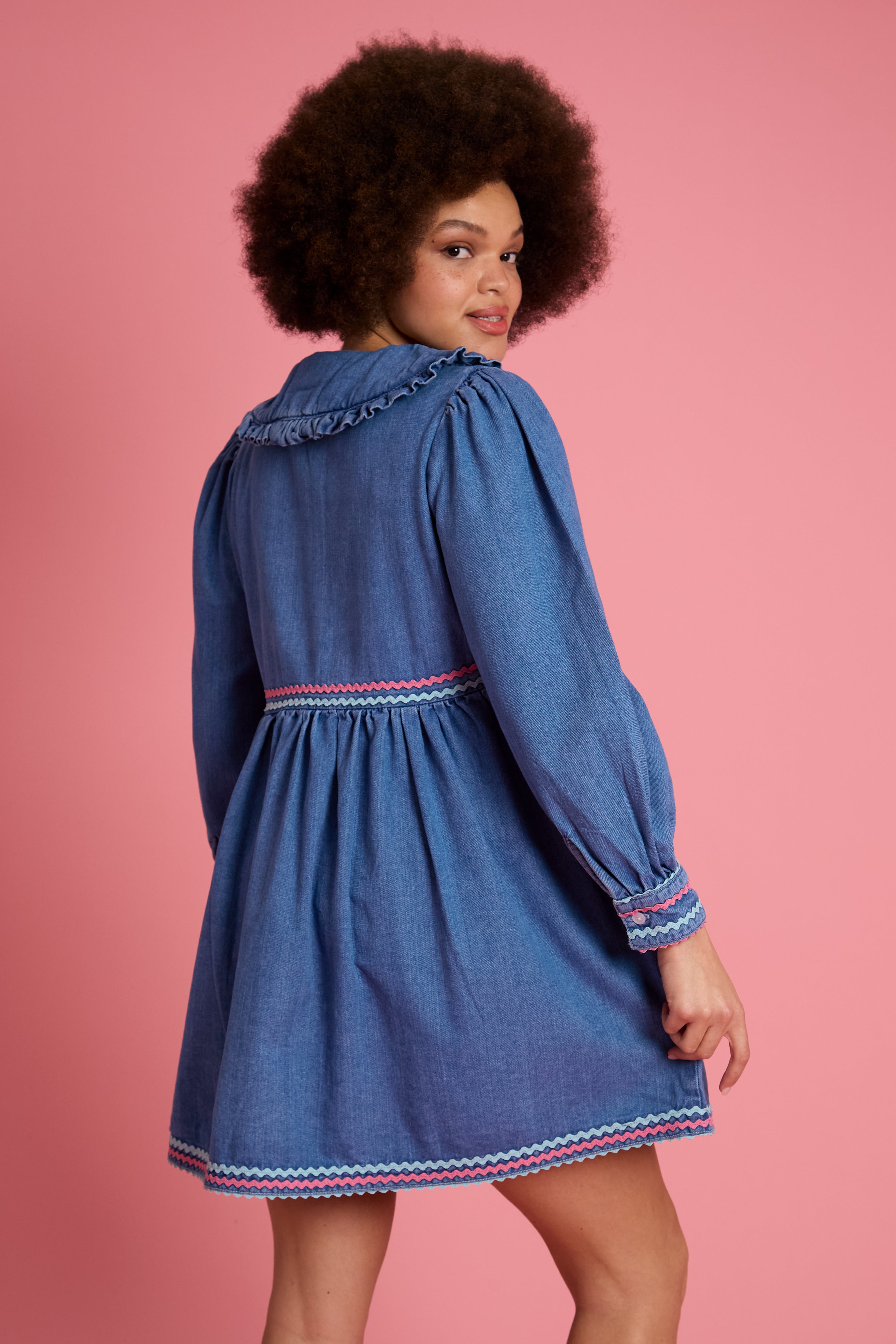 Ayla Ric-Rac Denim Dress - Curve