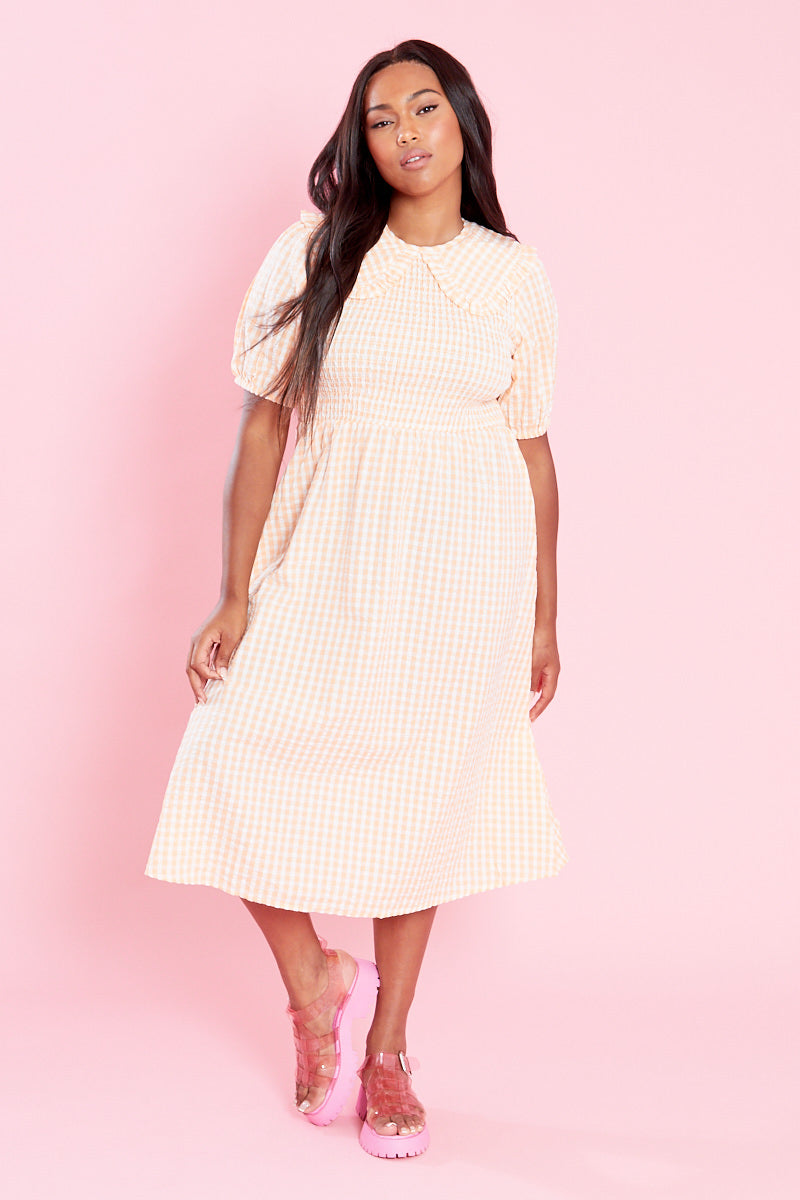 Nola Midi Dress with Collar  - Curve