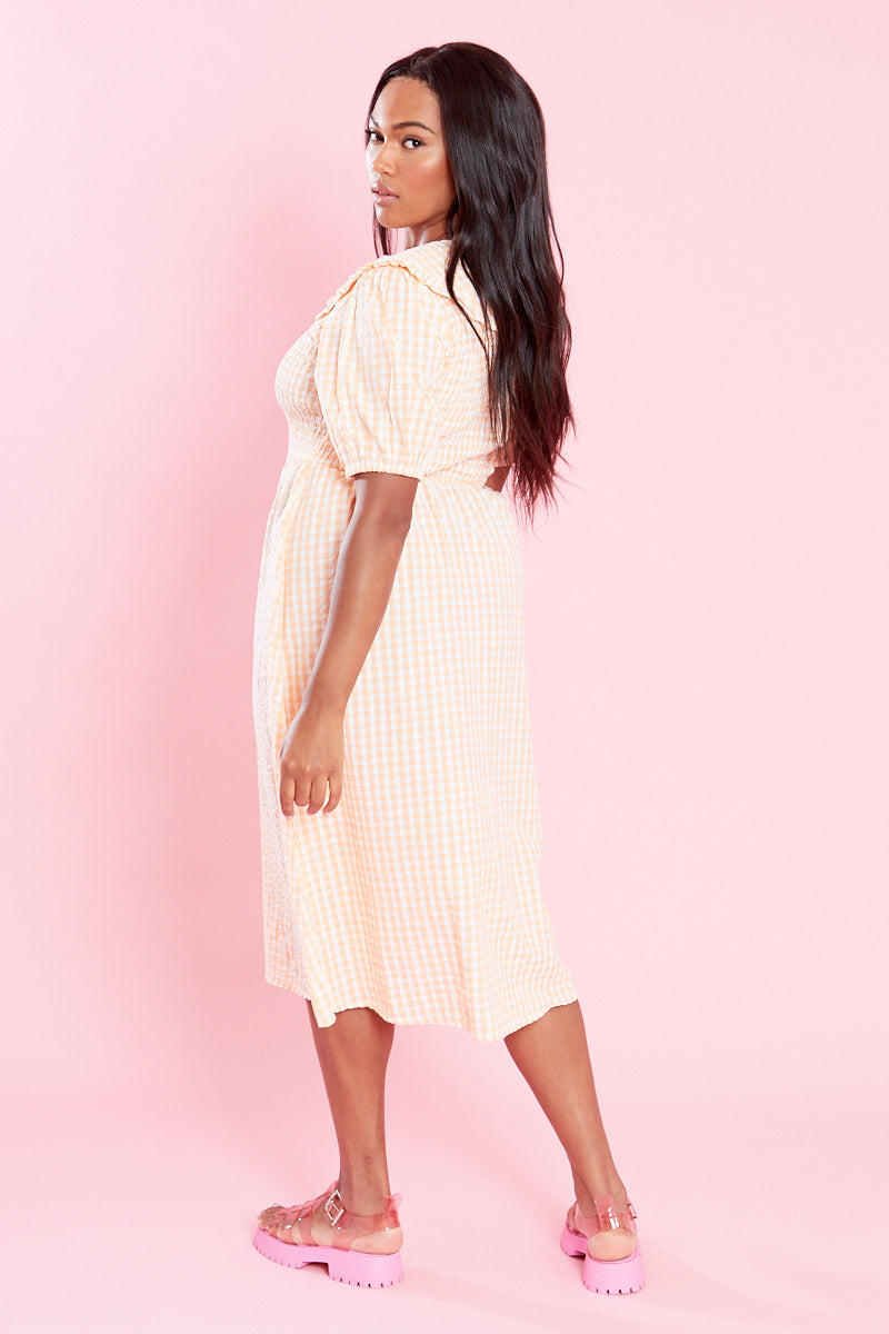 Nola Midi Dress with Collar  - Curve